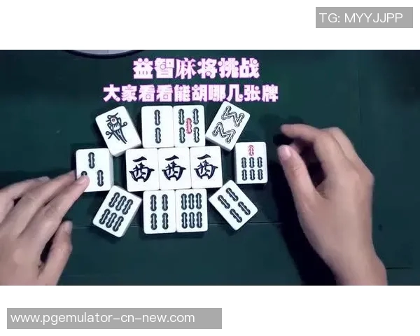 pG麻将胡了2-玩转麻将新纪元，pG麻将胡了2的独特魅力与挑战-pG麻将胡了2
